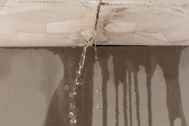 Professional Structural Drying technician working in Rex, GA